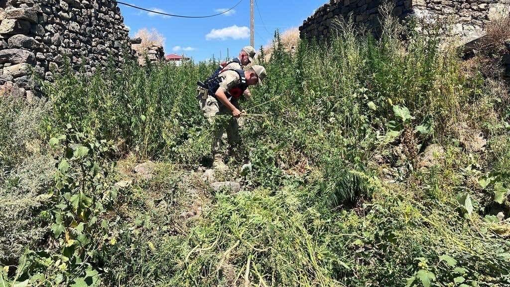 Kars’ta jandarmadan zehir tacirlerine darbe