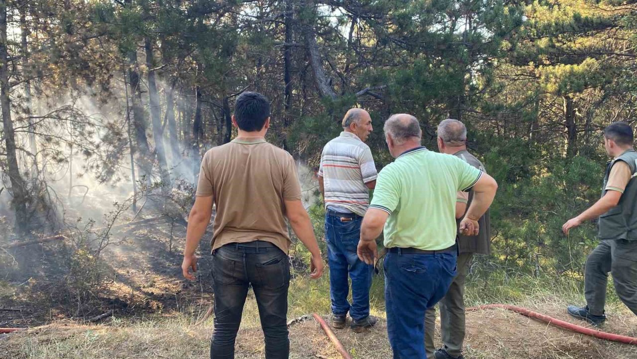 Kastamonu’da orman yangını