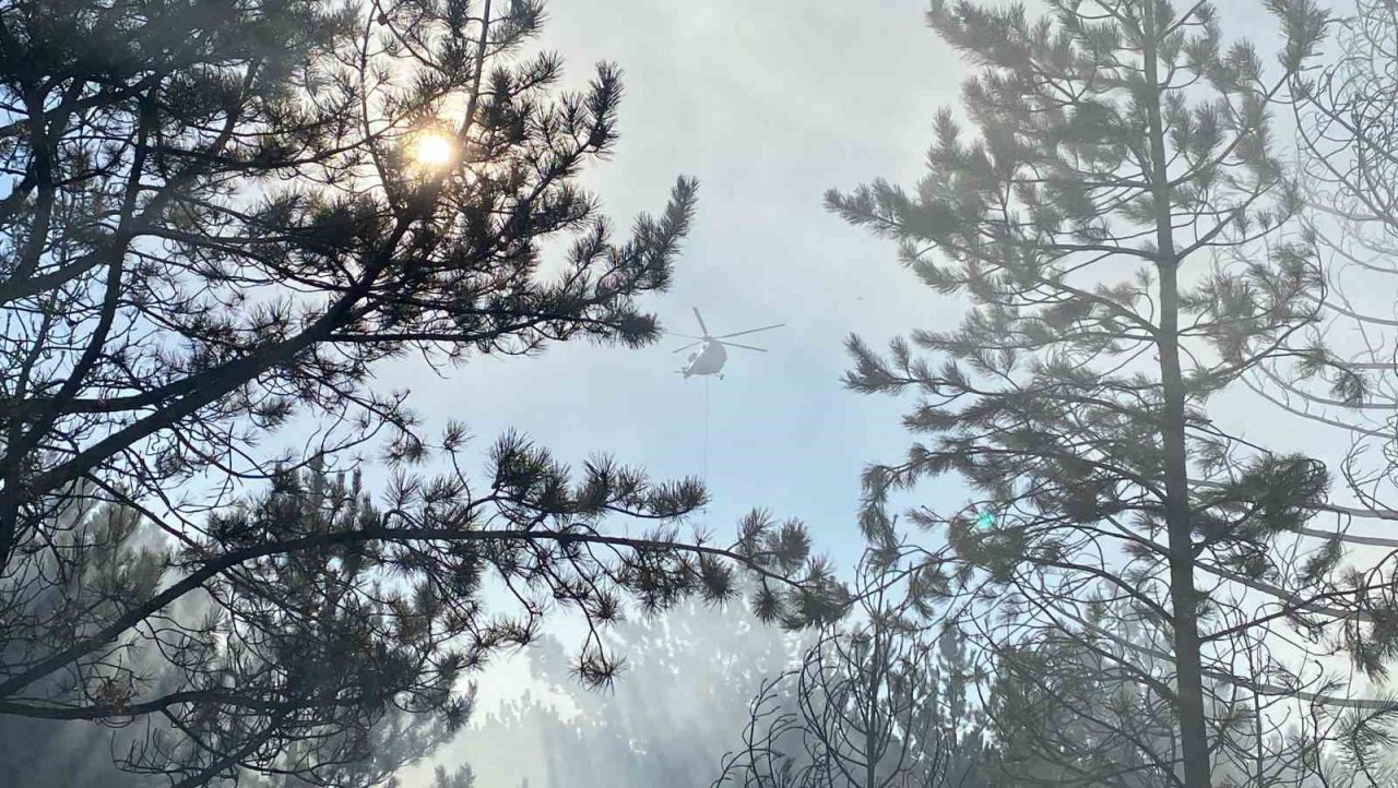 Kastamonu’da orman yangını