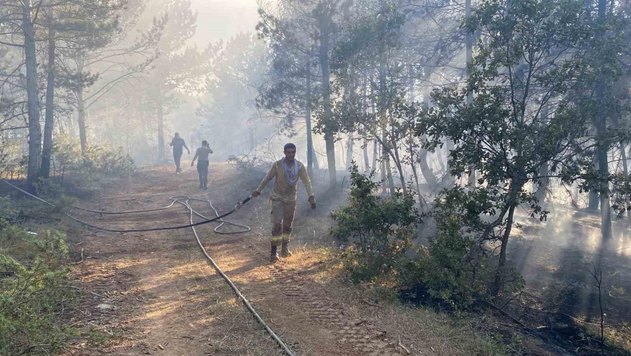 Kastamonu’da orman yangını
