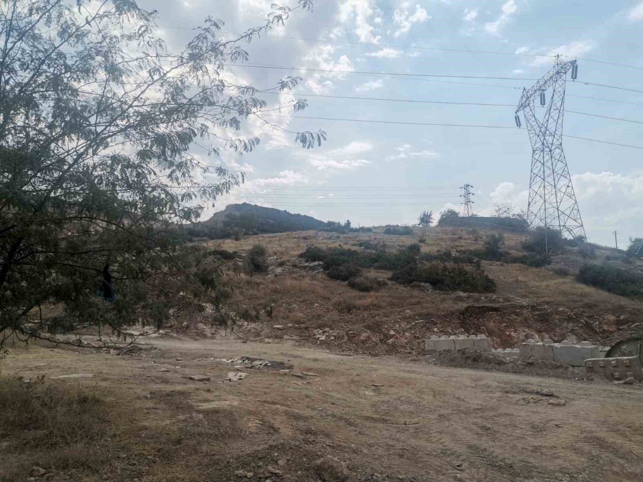 Çobanın kestiği insan başını köpekler buldu