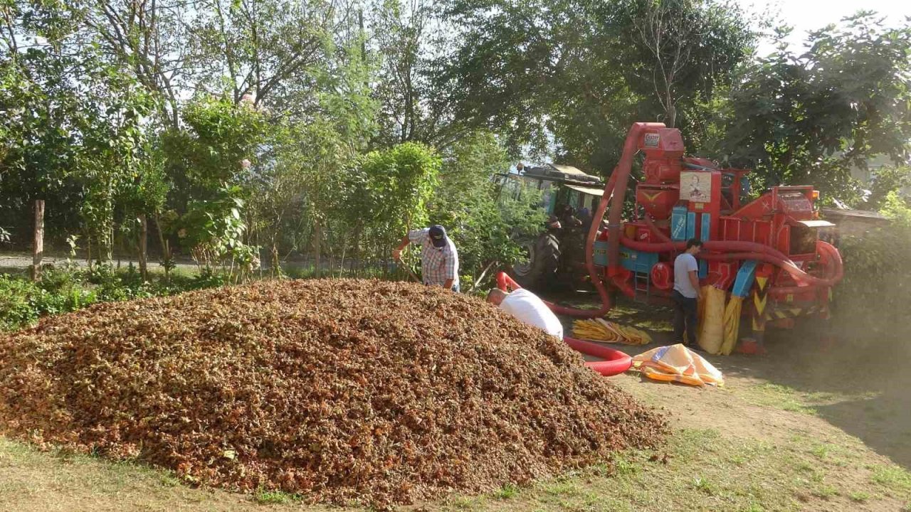 Yılda sadece 1,5 ay çalışıyorlar: Saatlik ücretleri 2 bin TL