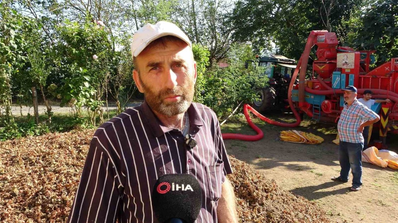 Yılda sadece 1,5 ay çalışıyorlar: Saatlik ücretleri 2 bin TL