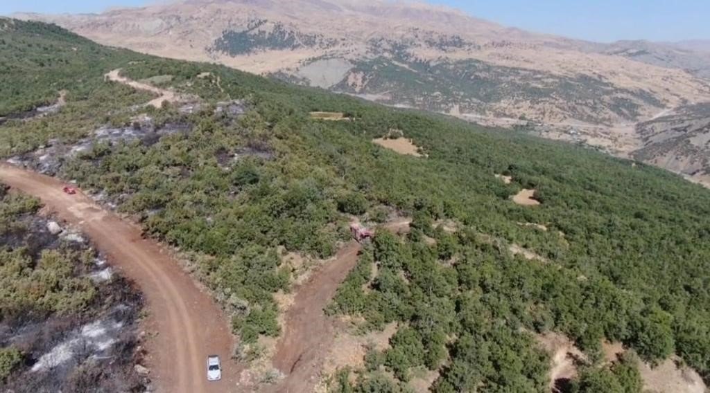 Siirt’te çıkan orman yangını kontrol altına alındı