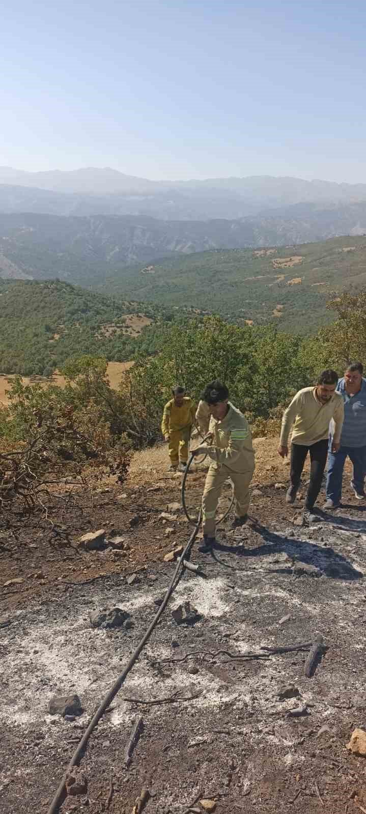 Siirt’te çıkan orman yangını kontrol altına alındı