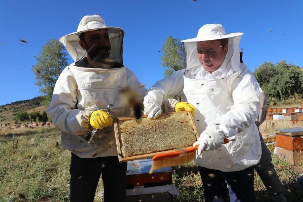 Refahiye’de bal hasadı başladı