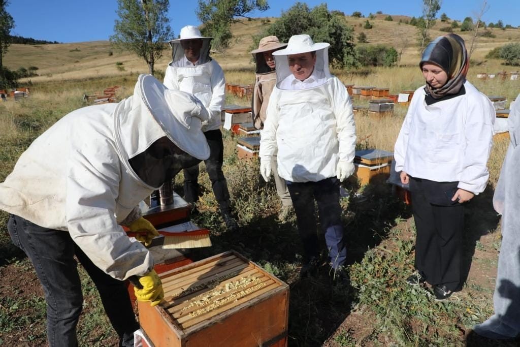 Refahiye’de bal hasadı başladı