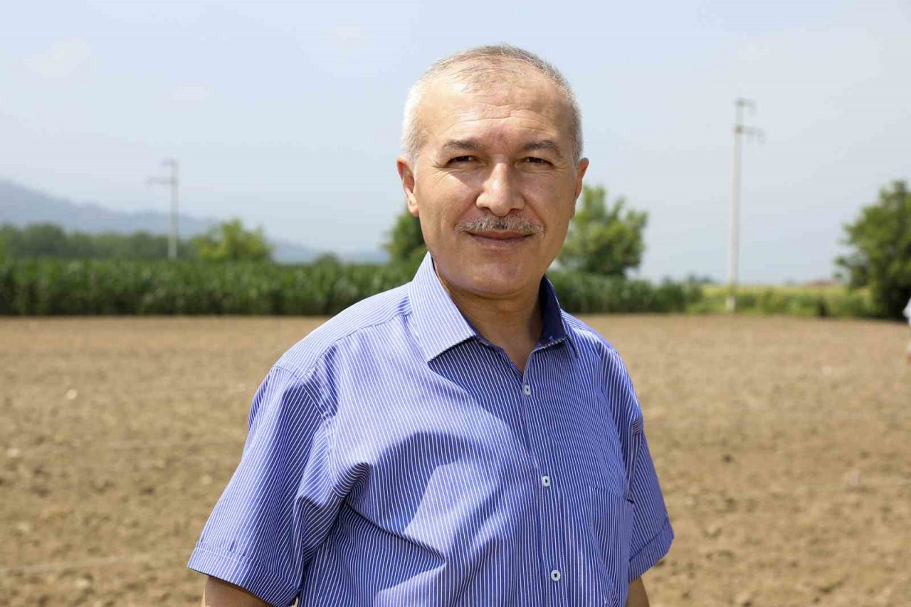 Fındıkta ıslah çalışmaları ile verim ve kalite artacak