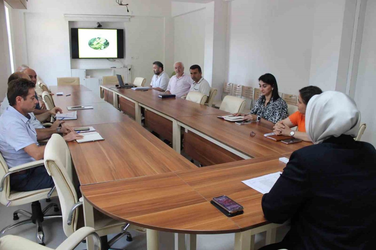 Danışmanların şartları iyileştirilecek