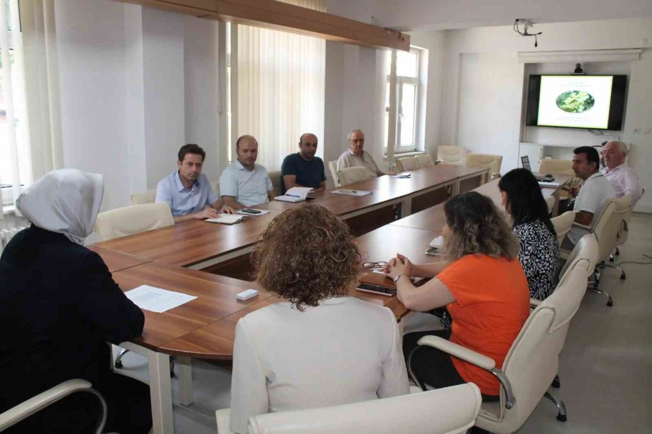 Danışmanların şartları iyileştirilecek