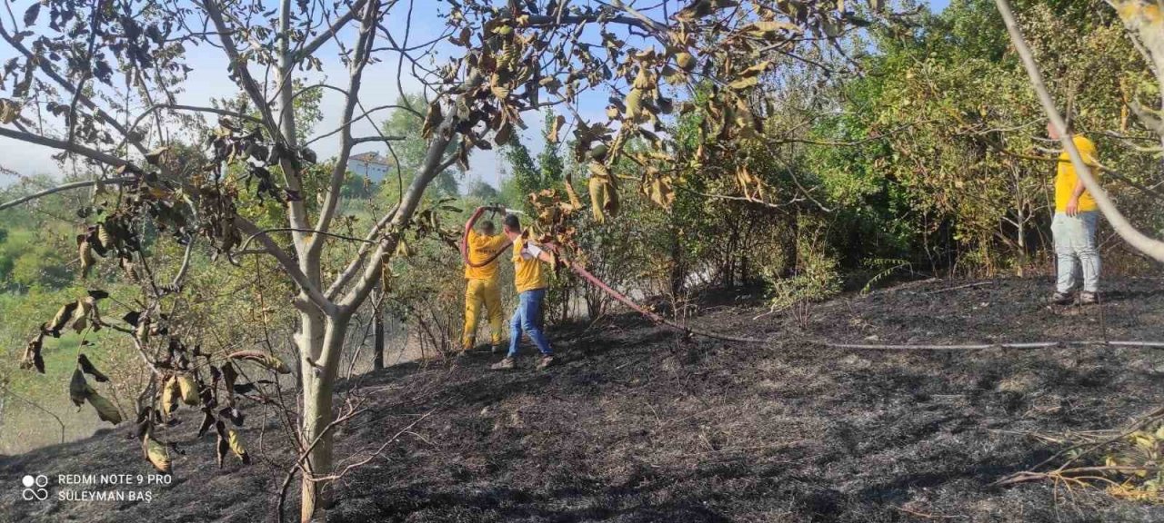 Türkeli’de çıkan anız yangını korkuttu