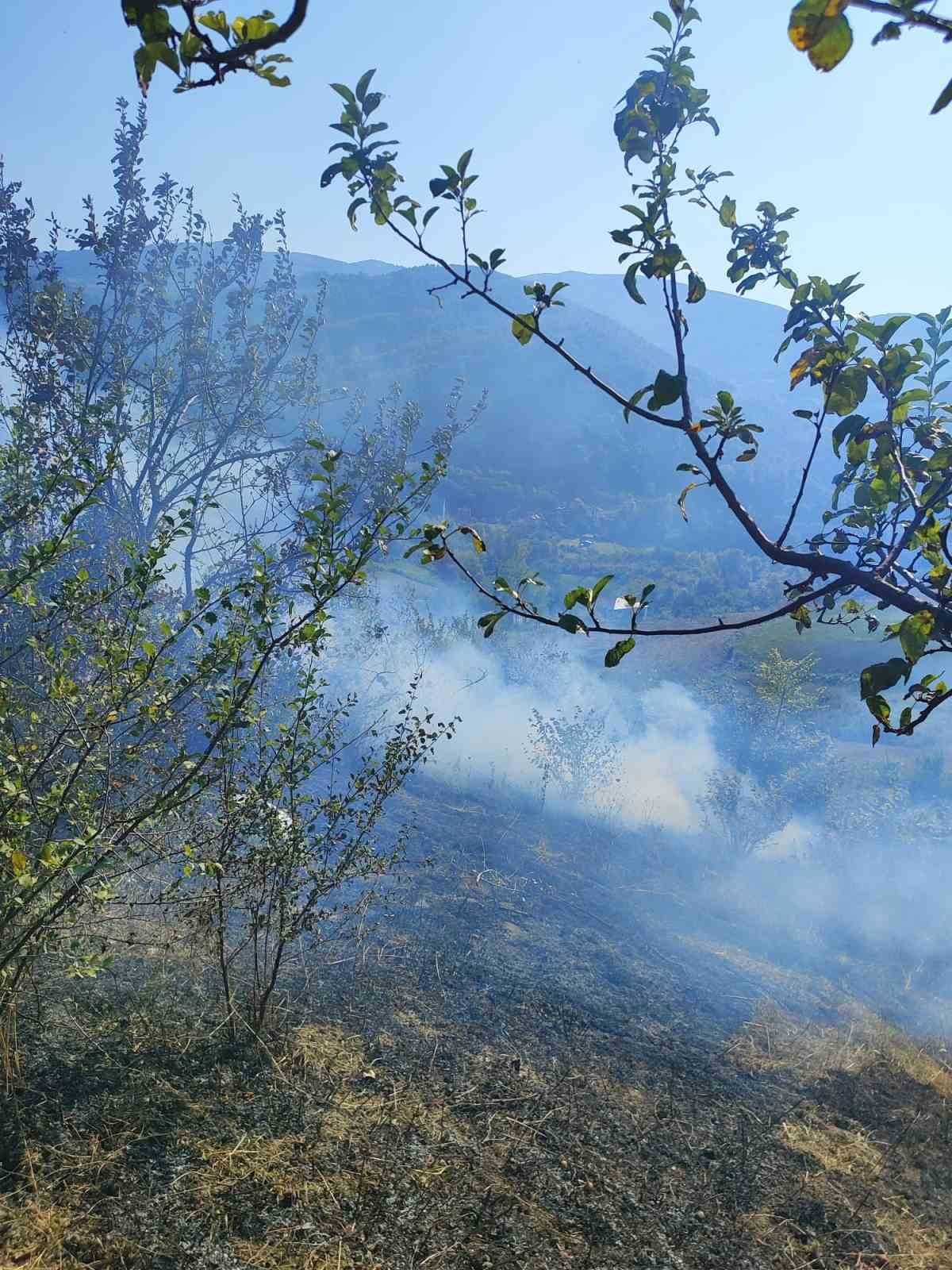 Türkeli’de çıkan anız yangını korkuttu
