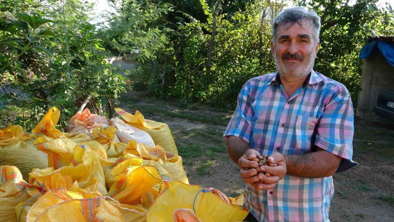 Yılda sadece 1,5 ay çalışıyorlar: Saatlik ücretleri 2 bin TL