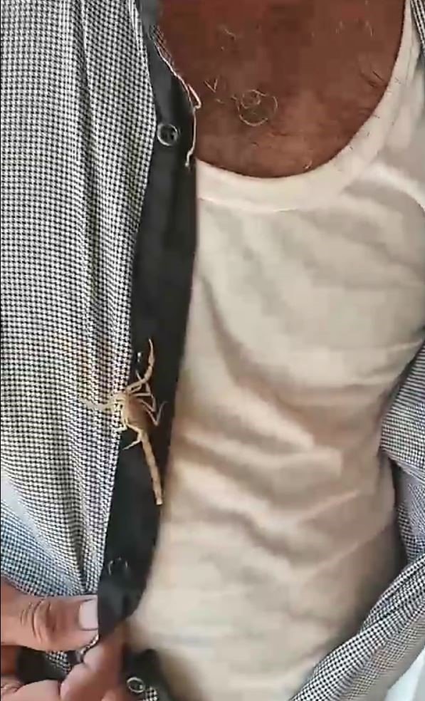 Akreplere kendini sokturdu, ‘Hayvan sevgisi’ dedi