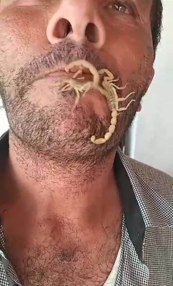 Akreplere kendini sokturdu, ‘Hayvan sevgisi’ dedi