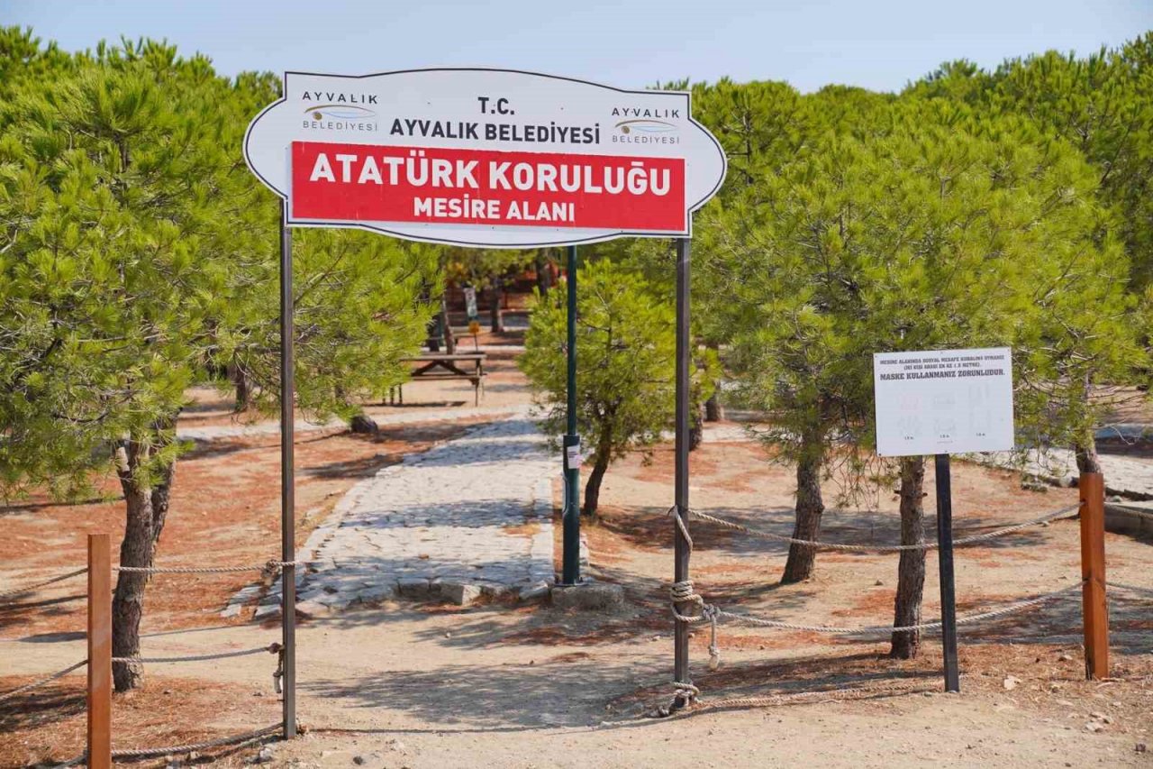 Ayvalık’ta mesire alanındaki ahşap oturma grupları yenileniyor