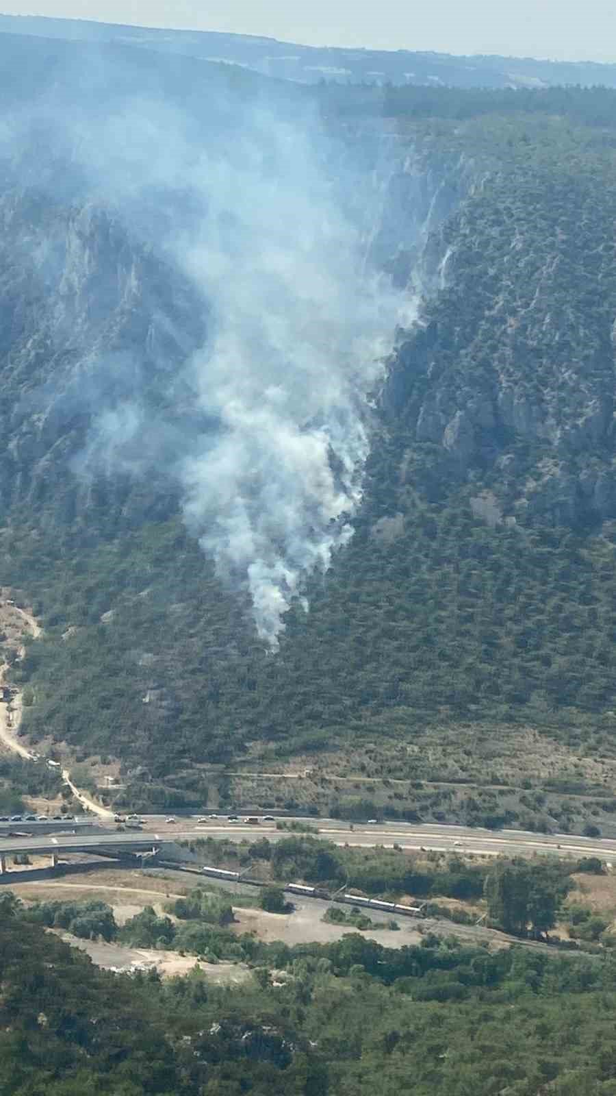 Bilecik’te orman yangını