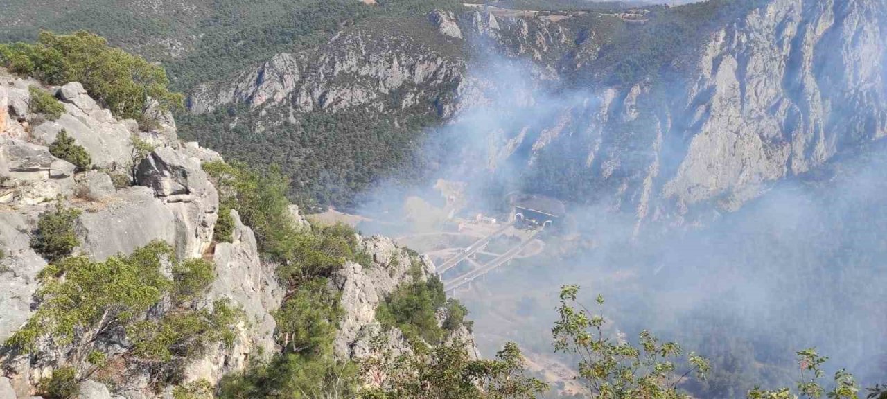 Bilecik’te orman yangını