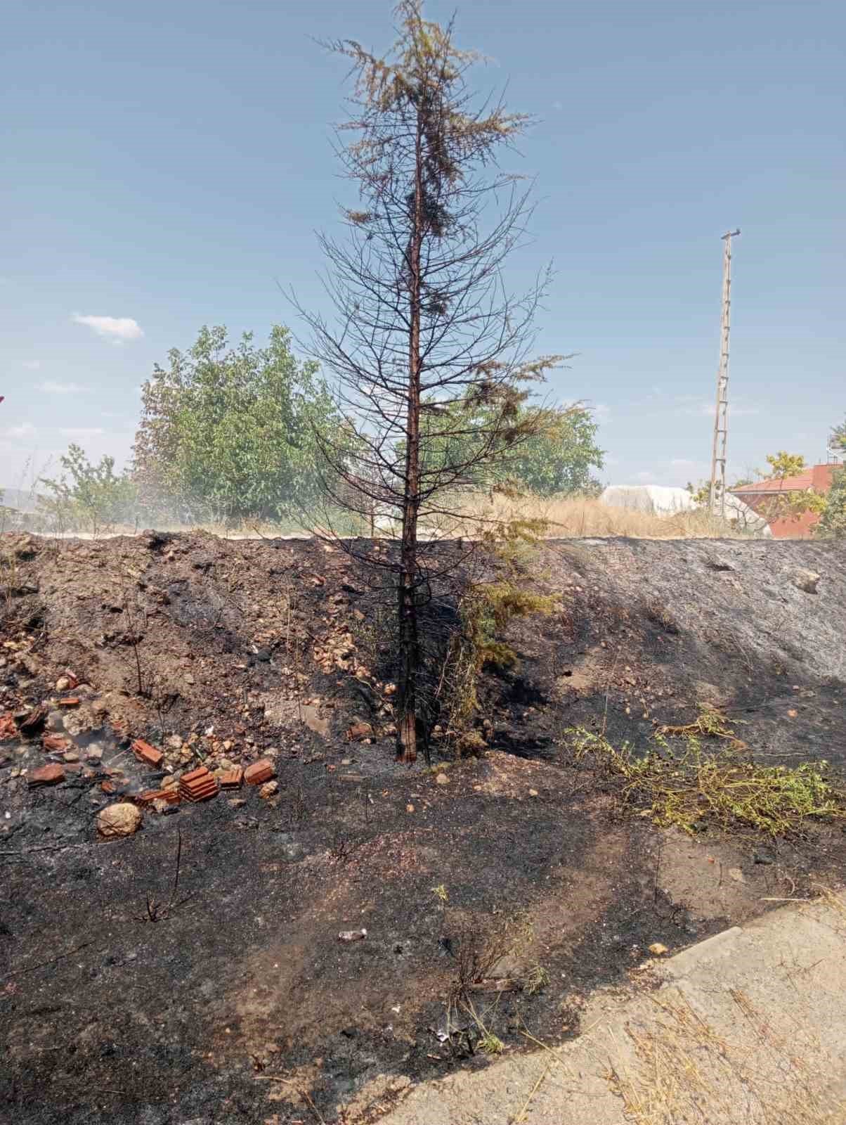 Araçtan atılan sigara izmariti yangına sebep oldu