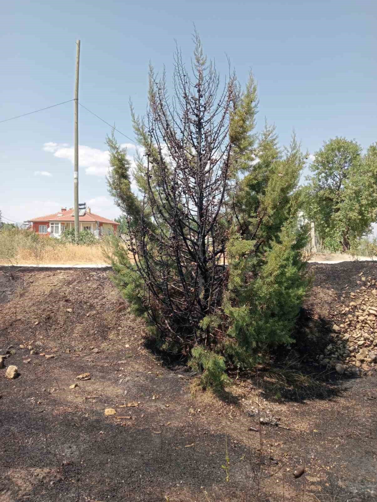 Araçtan atılan sigara izmariti yangına sebep oldu