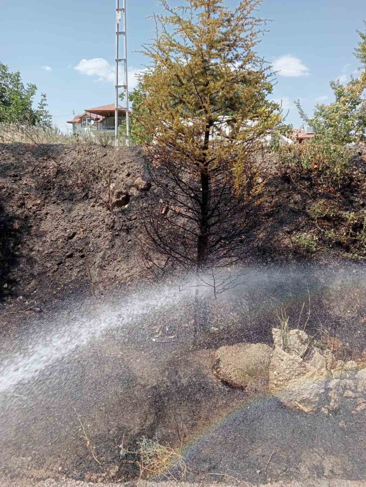 Araçtan atılan sigara izmariti yangına sebep oldu