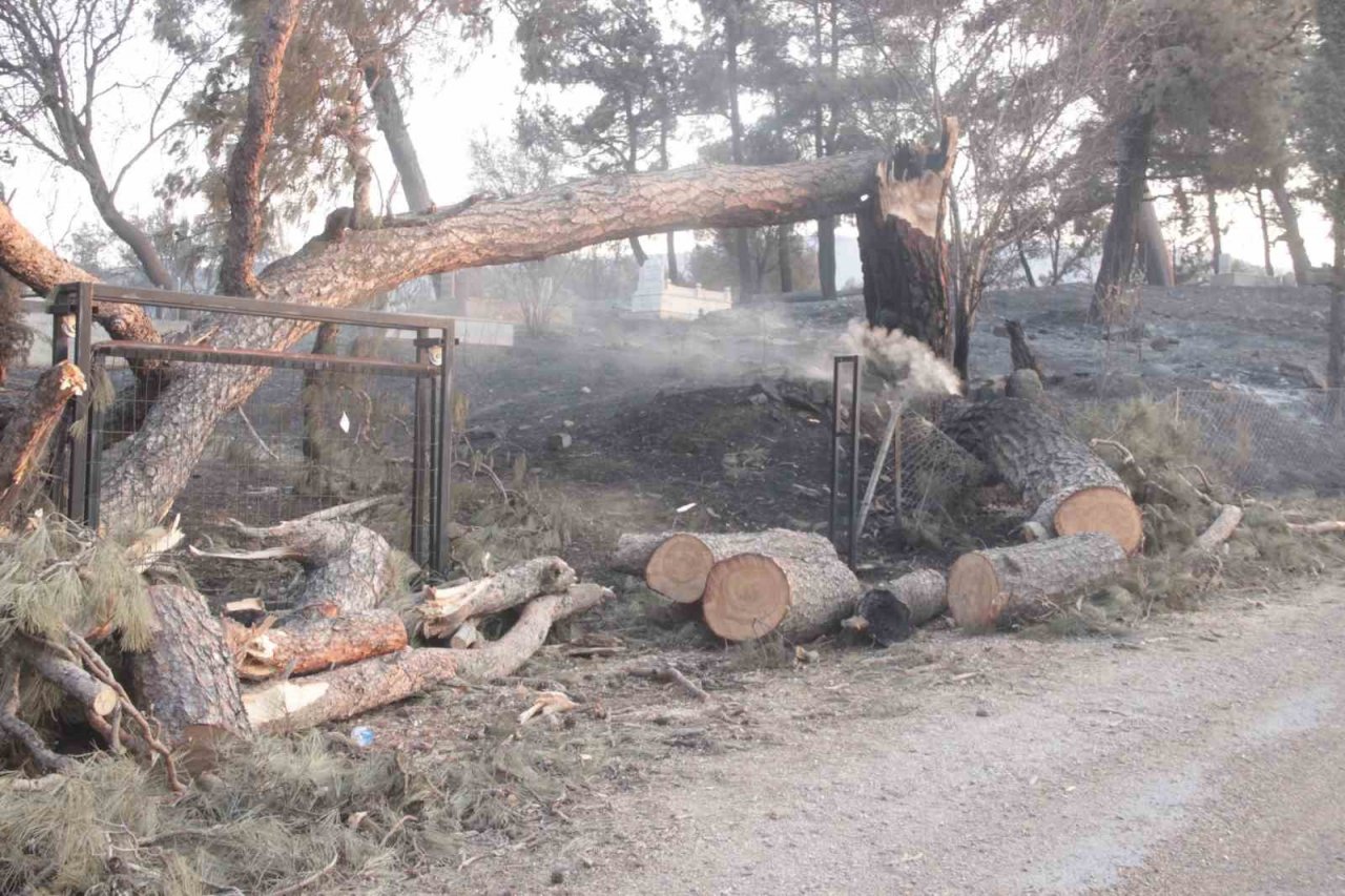 Savaş gibi...Hayalet köye dönüştü