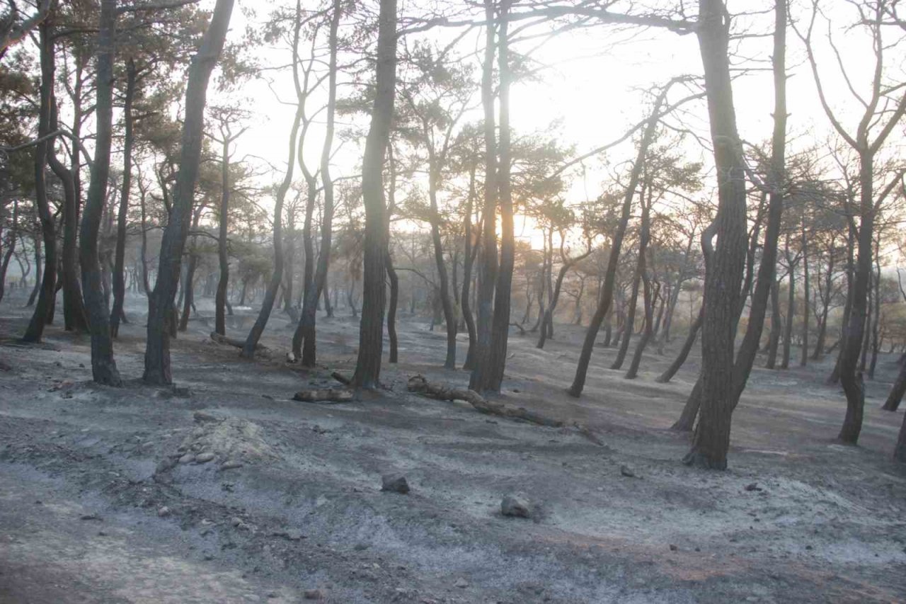 Savaş gibi...Hayalet köye dönüştü