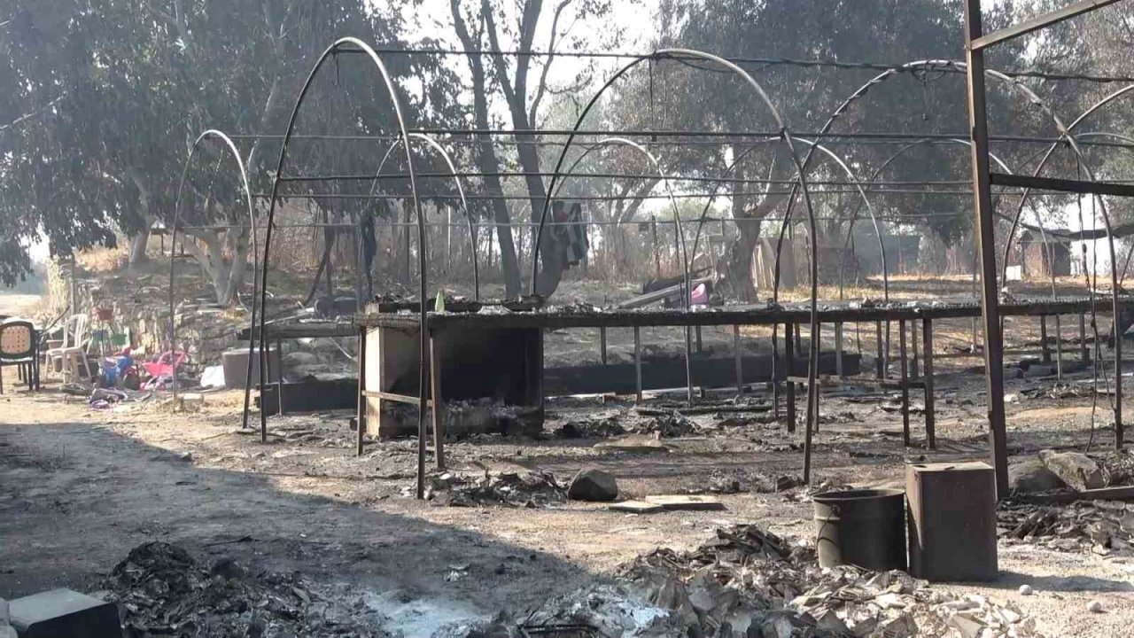 Çanakkale yangını en çok onu vurdu... 20 yıllık emekleri küle döndü göz yaşları sel oldu