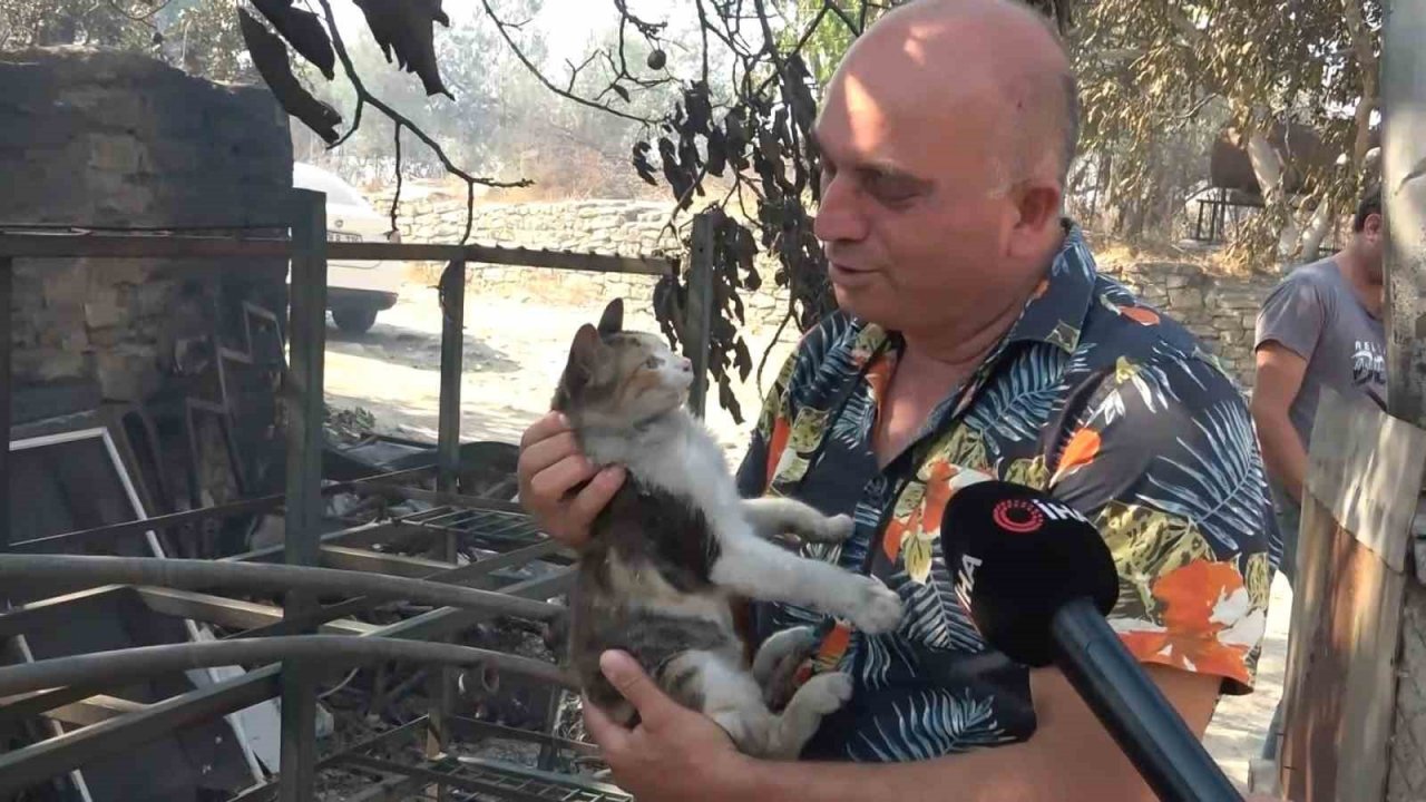 Çanakkale yangını en çok onu vurdu... 20 yıllık emekleri küle döndü göz yaşları sel oldu