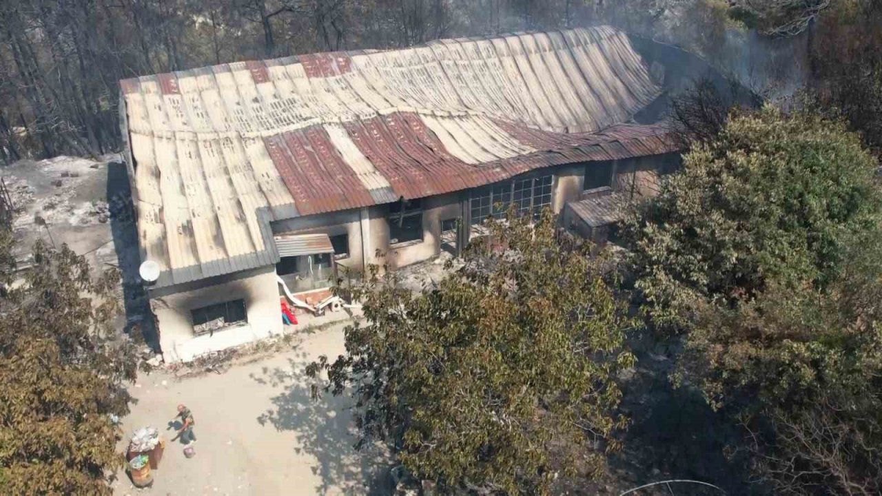 Çanakkale yangını en çok onu vurdu... 20 yıllık emekleri küle döndü göz yaşları sel oldu