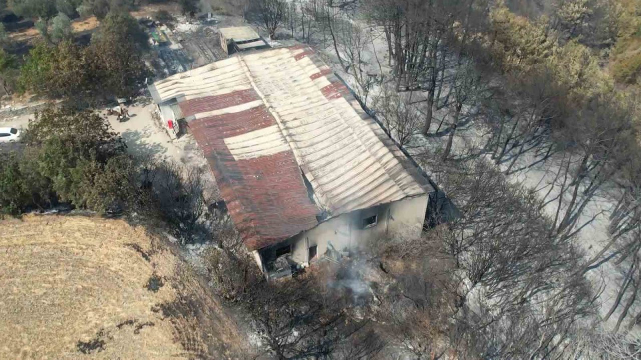 Çanakkale yangını en çok onu vurdu... 20 yıllık emekleri küle döndü göz yaşları sel oldu