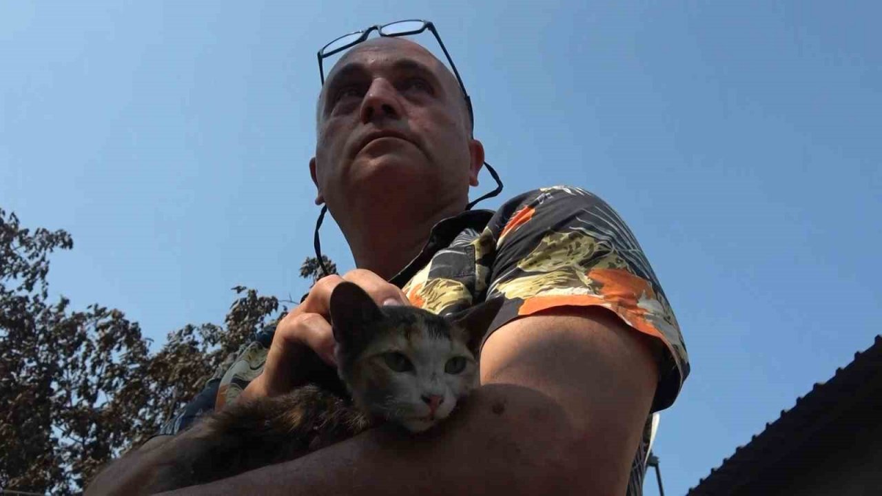 Çanakkale yangını en çok onu vurdu... 20 yıllık emekleri küle döndü göz yaşları sel oldu