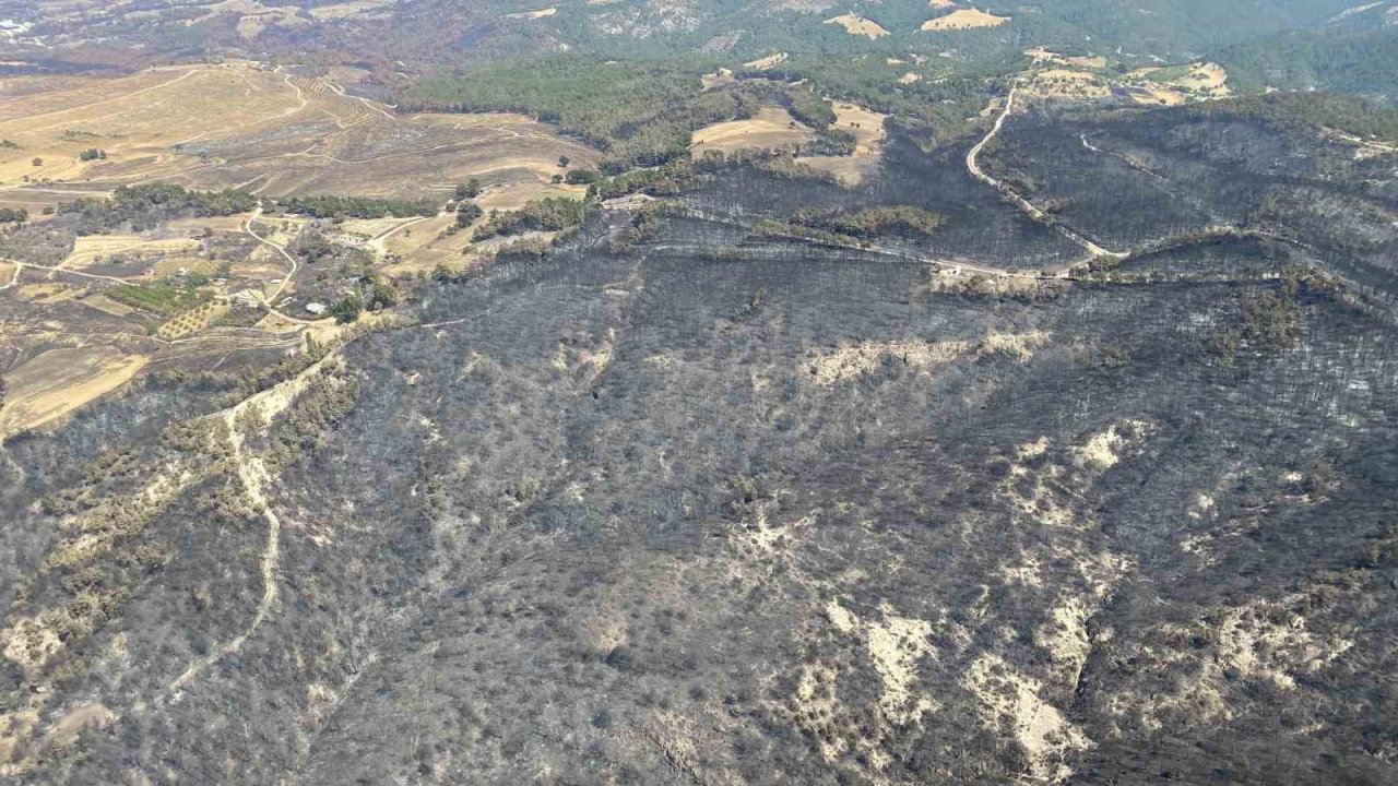 Çanakkale’de acı tablo havadan böyle görüntülendi