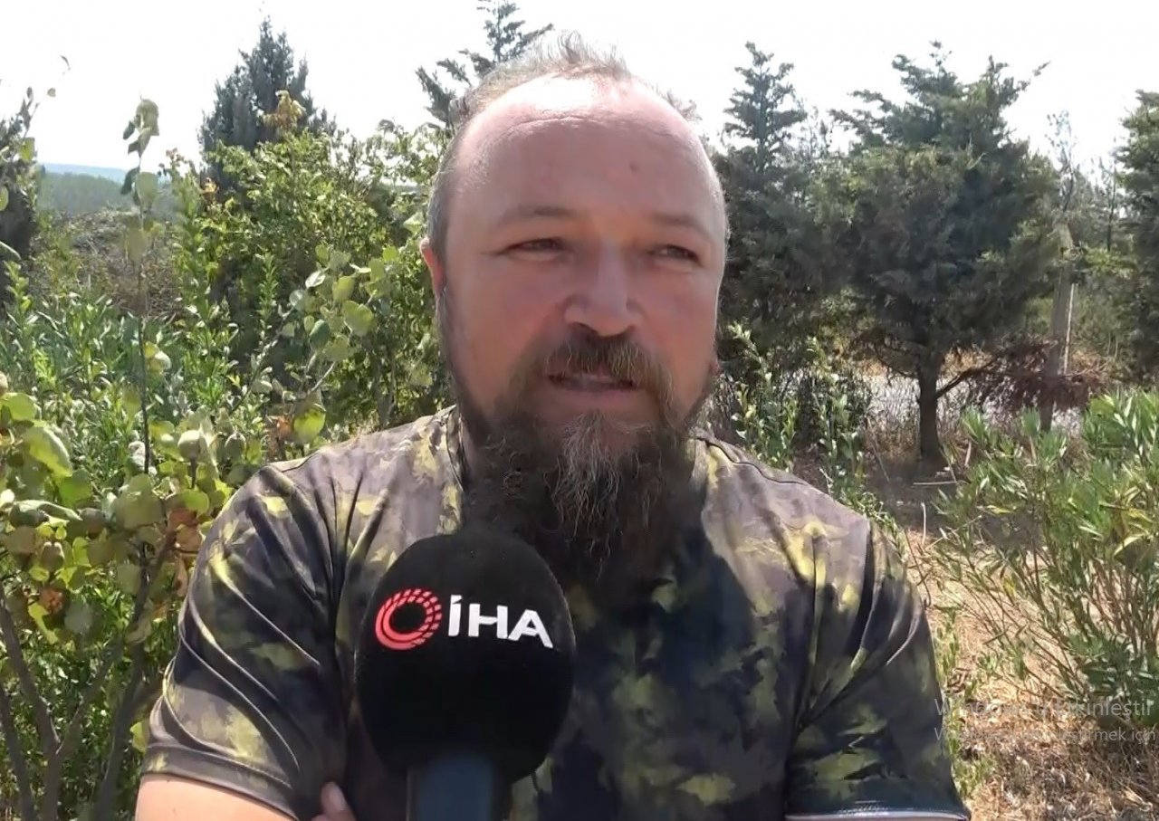 Çanakkale’deki yangın en çok onları etkiledi...Alevlerden kaçan karaca böyle görüntülendi