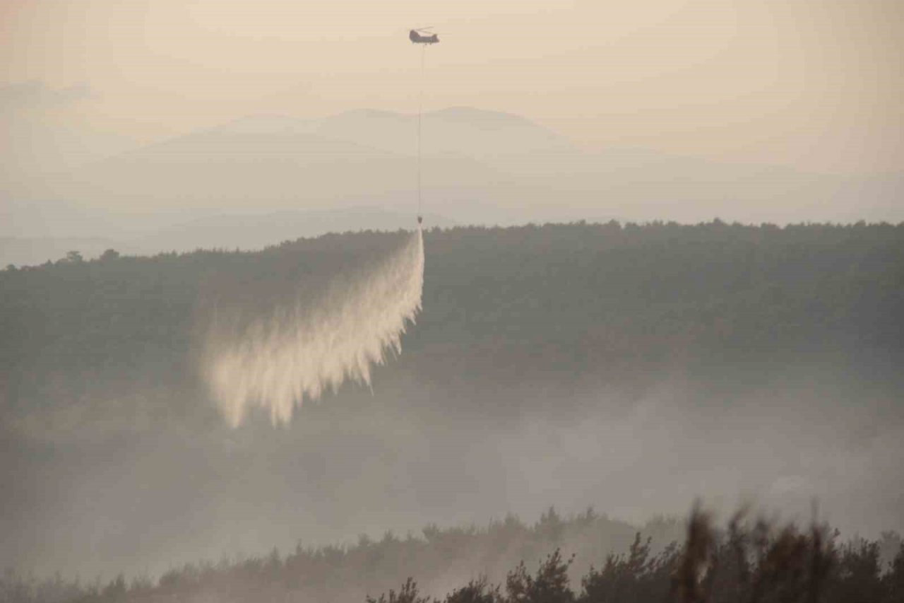 Yangına havadan güçlü müdahale devam ediyor
