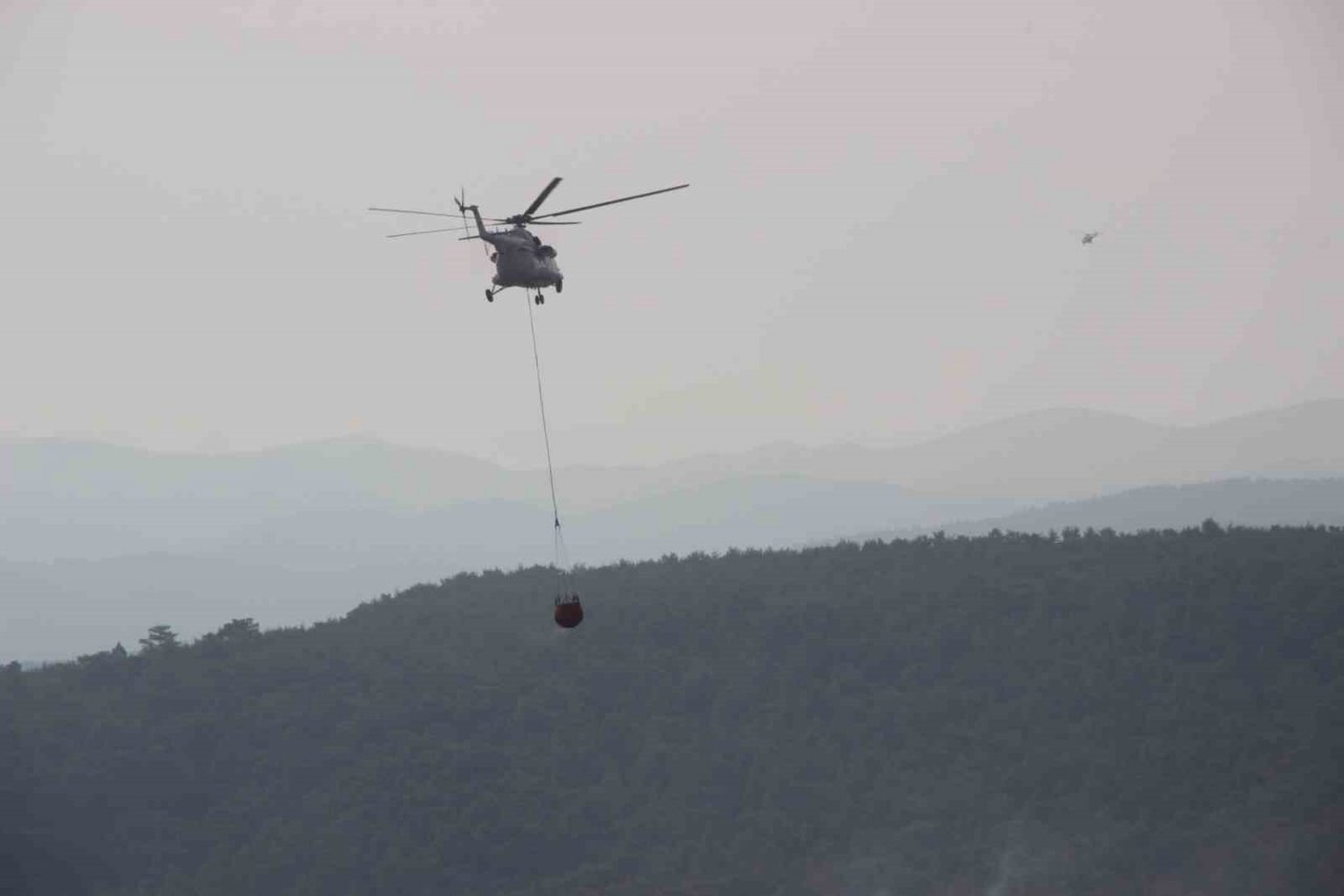 Yangına havadan güçlü müdahale devam ediyor