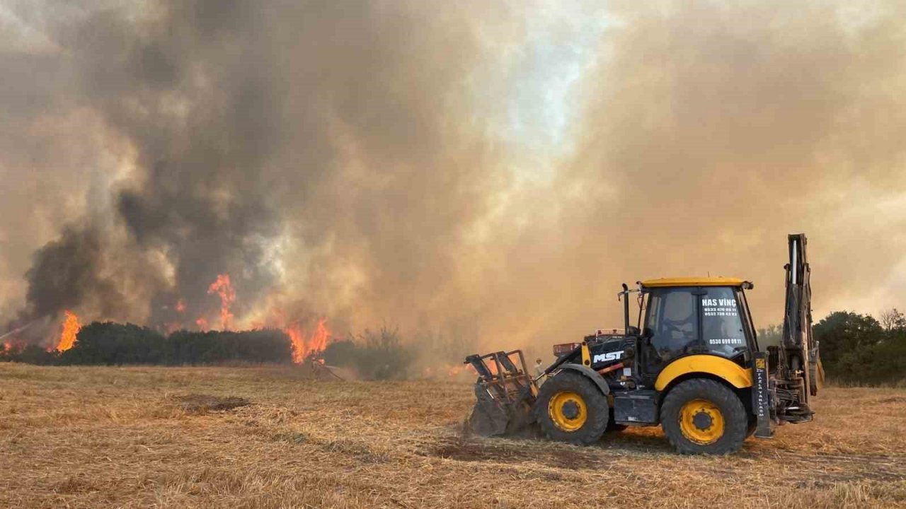 Çanakkale’de ağaçlık alanda yangın