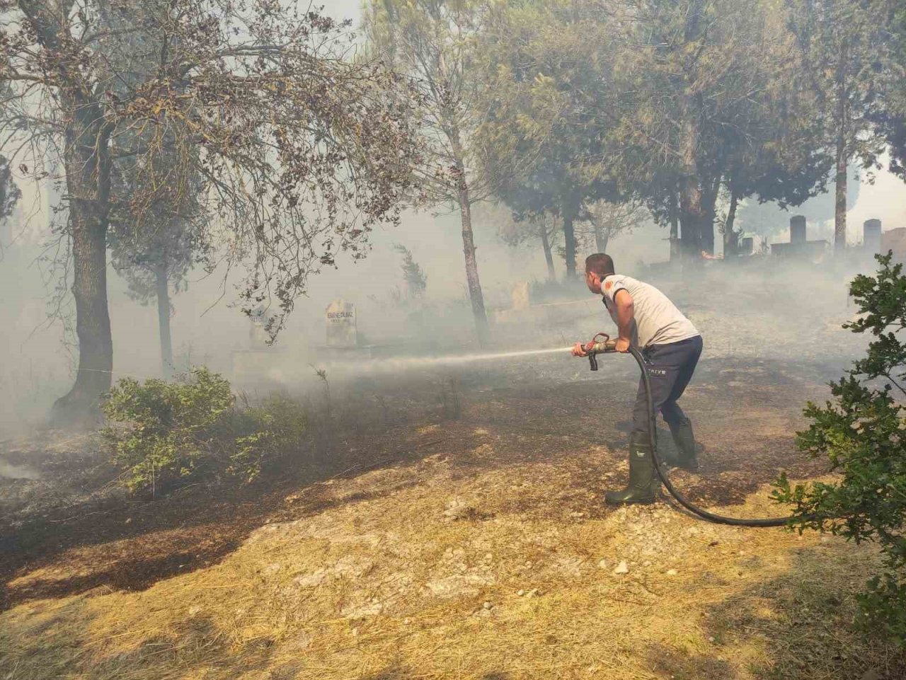 Çanakkale’de ağaçlık alanda yangın
