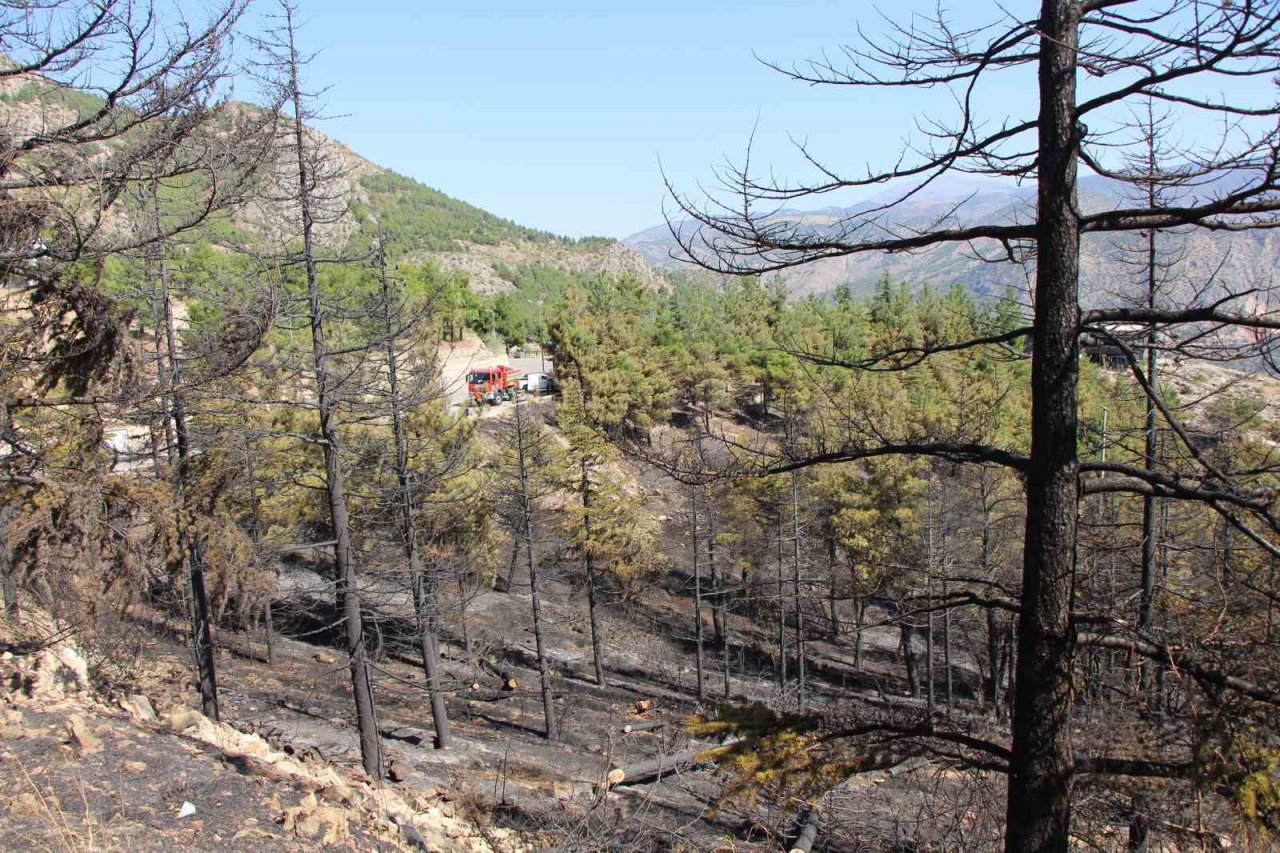 Başkan Çelik açıkladı: “Amasya Kalesi surları yangında zarar görmedi”