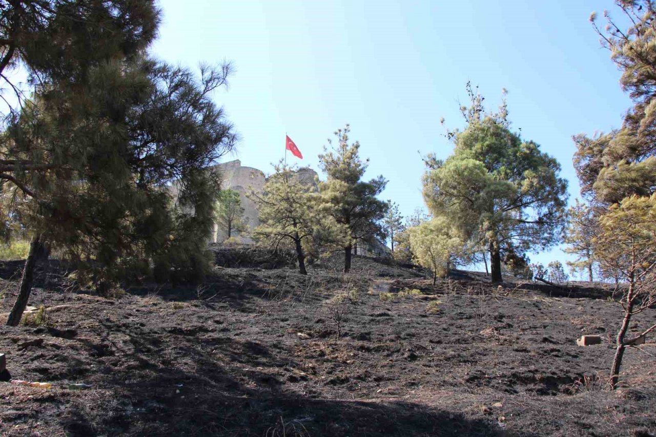 Başkan Çelik açıkladı: “Amasya Kalesi surları yangında zarar görmedi”
