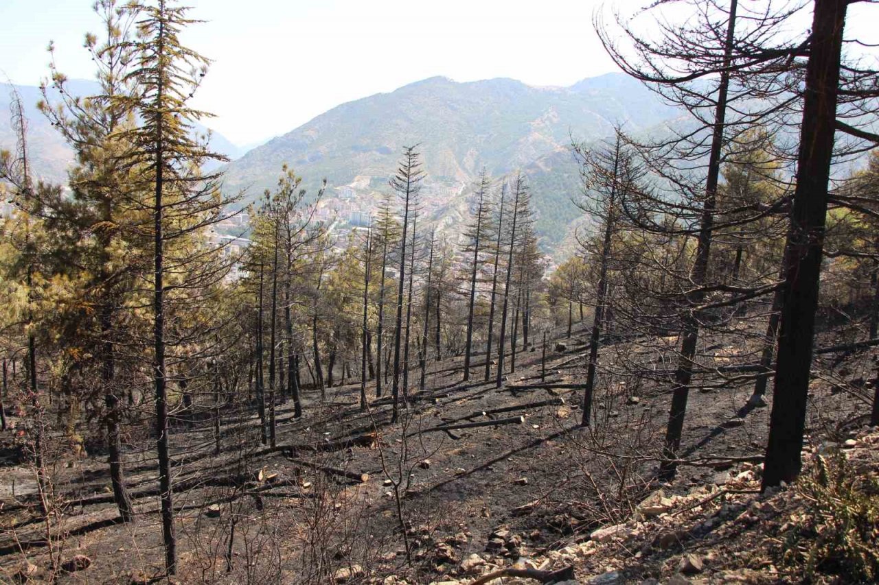 Başkan Çelik açıkladı: “Amasya Kalesi surları yangında zarar görmedi”