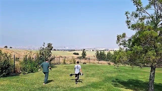 Tedavileri tamamlanan 2 leylek özgürlüğe kanat çırptı