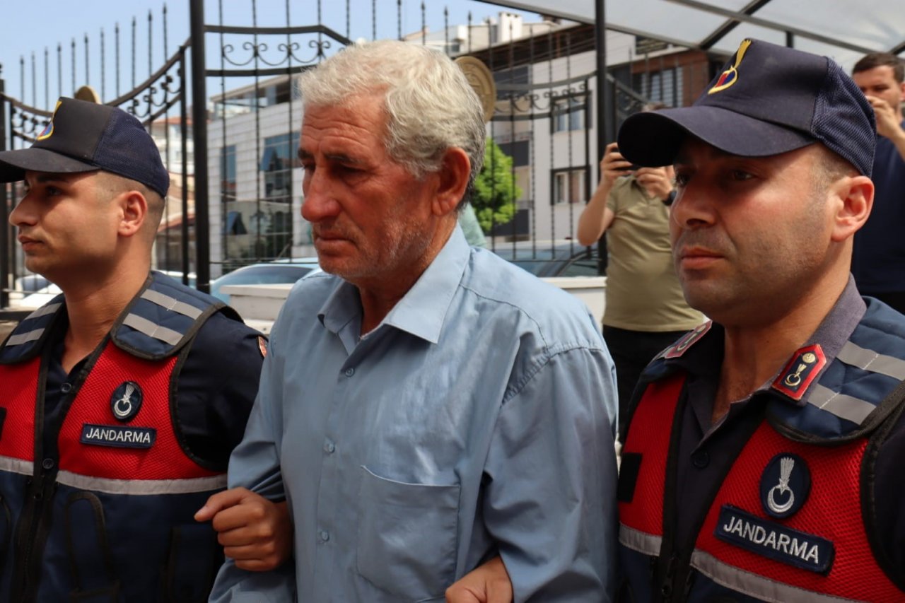 Eskişehir’deki orman yangınına neden olan çiftçi adli kontrol şartıyla serbest bırakıldı