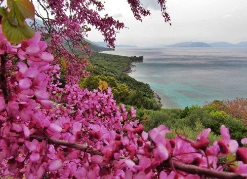 Güzelçamlı Milli Parkı serinlemek isteyenlerin ilk tercih ettiği yer oldu