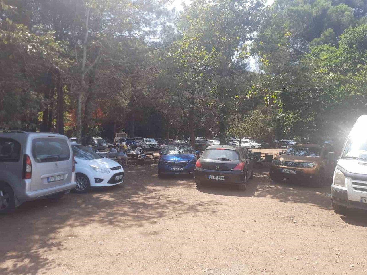 Güzelçamlı Milli Parkı serinlemek isteyenlerin ilk tercih ettiği yer oldu