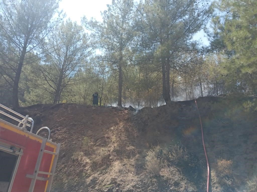 Hatay’da orman yangını büyümeden söndürüldü