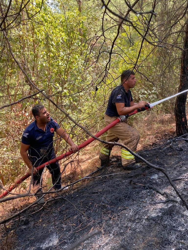 Hatay’da orman yangını büyümeden söndürüldü