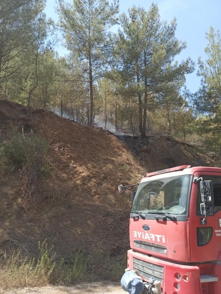 Hatay’da orman yangını büyümeden söndürüldü