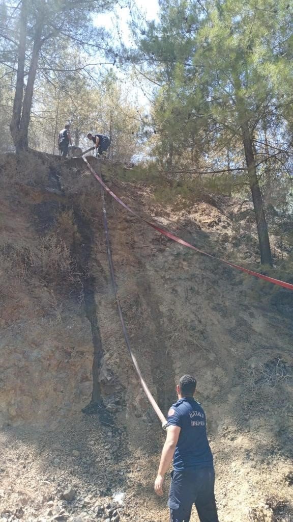Hatay’da orman yangını büyümeden söndürüldü