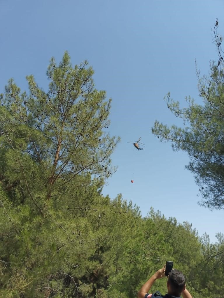 Hatay’da orman yangını büyümeden söndürüldü